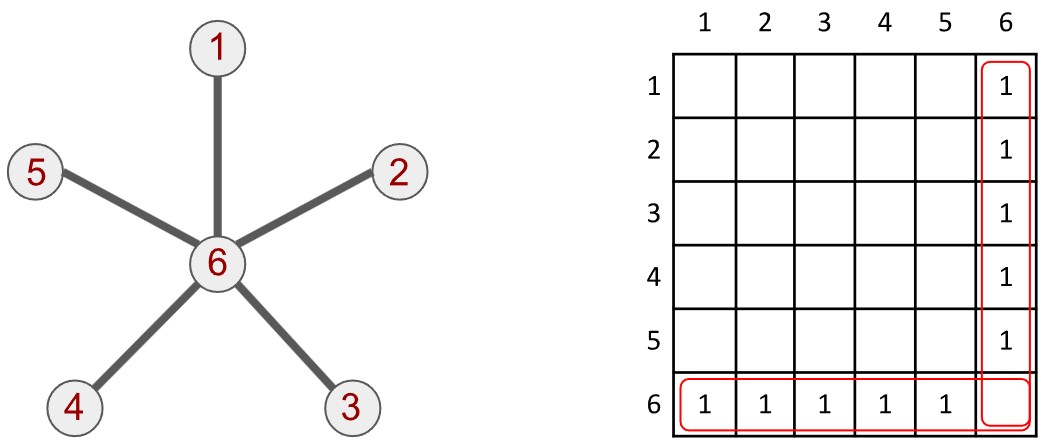 Star graph and its representation as adjacency matrix